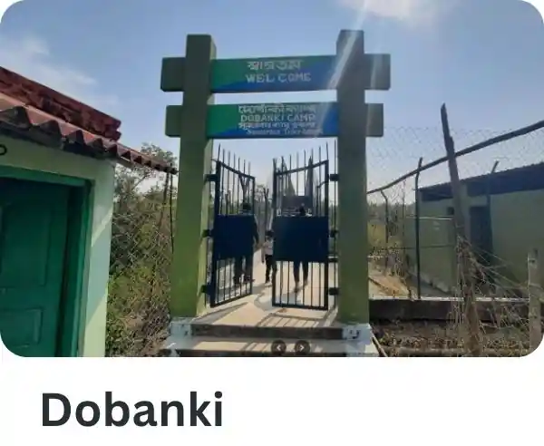 Dobanki