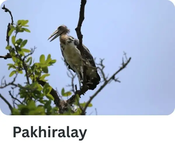 Pakhiralay