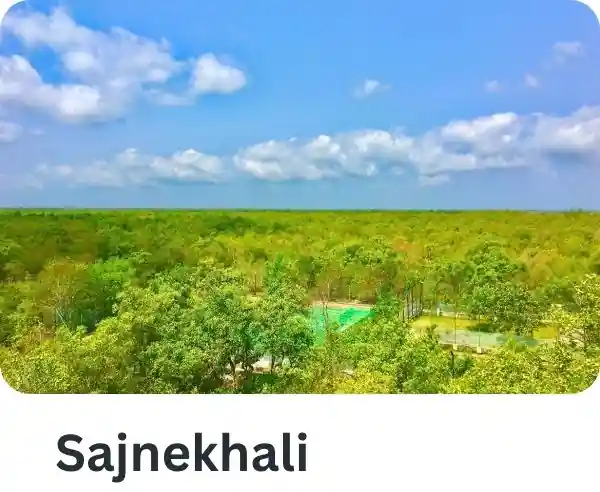 Sajnekhali