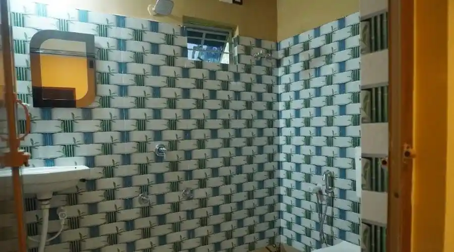 Western Toilet