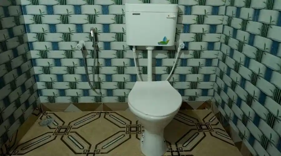 Western Toilet