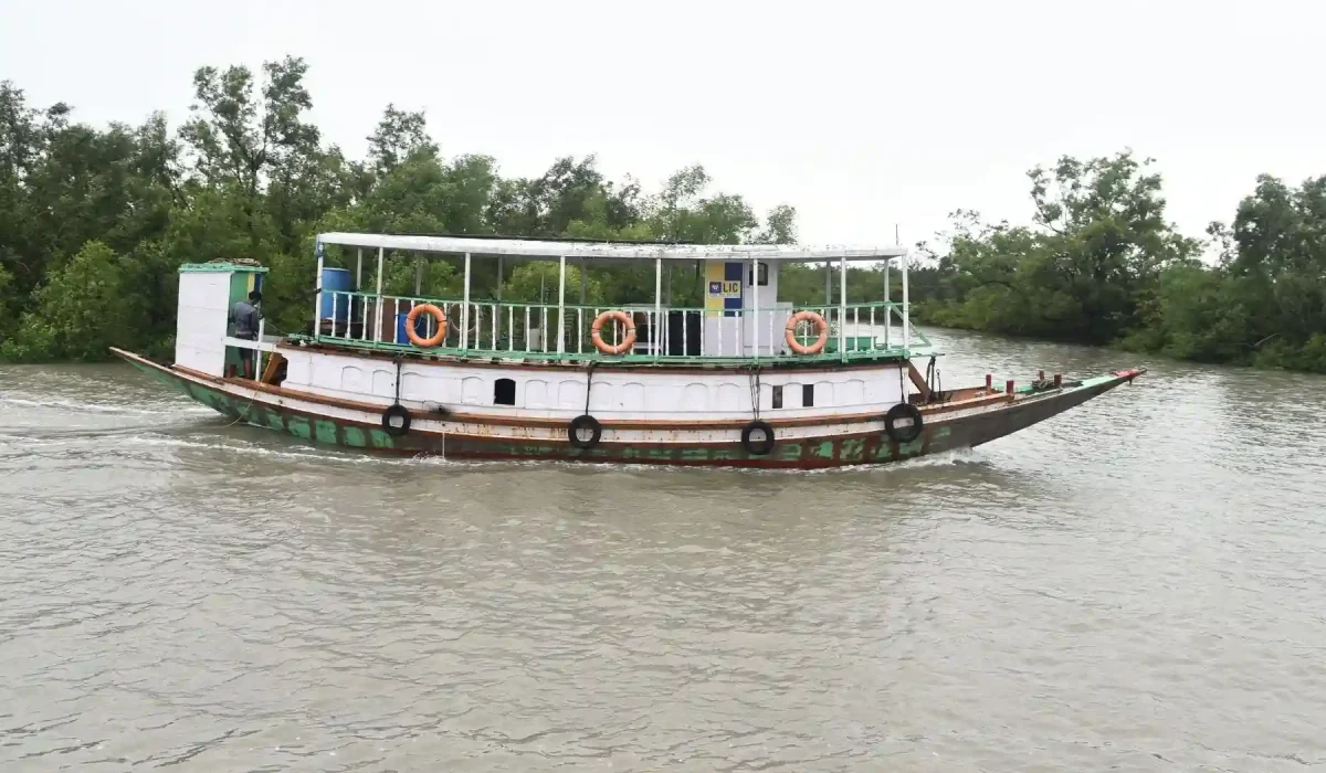 Sundarban tourist boat with gangchil